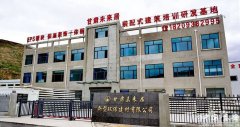 忙碌有序的气象映入眼皮